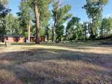Block 10 Lot 1 Conejos Trails Rd - Photo 9