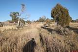TBD County Road 510 - Photo 10