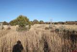 TBD County Road 510 - Photo 11