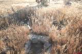 TBD County Road 510 - Photo 9
