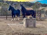 2741 7750 Road - Photo 36