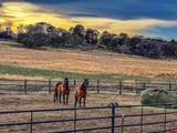 2741 7750 Road - Photo 37