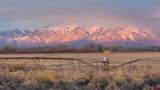 4590 Sierra Vista Road - Photo 29