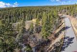 701 Durango Cliffs Drive - Photo 31
