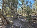 TBD Green Shadows Road - Photo 19