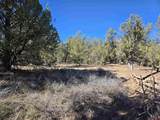 TBD Green Shadows Road - Photo 20