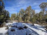TBD Green Shadows Road - Photo 22