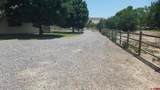 7095 Buena Vista Road - Photo 21
