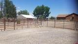 7095 Buena Vista Road - Photo 30