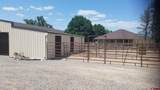 7095 Buena Vista Road - Photo 31