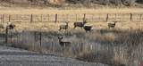 1277 Cr 501 - Photo 40