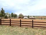 14702 Road 14 - Photo 28