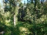 27046 Hwy 145 - Photo 41