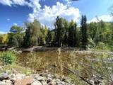 27046 Hwy 145 - Photo 42