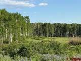 41014 Beaver Trail Lane - Photo 37
