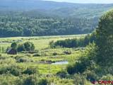 41014 Beaver Trail Lane - Photo 40