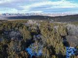 TBD 56 1/4 Road - Photo 31