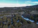 TBD 56 1/4 Road - Photo 5