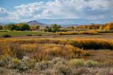 6771 County Road 5 N - Photo 45