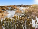 495 White Buffalo Trail - Photo 44