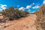 123 Big Horn Drive - Photo 29