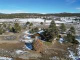 1097 D Bar K Drive - Photo 5