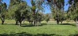 3115 Cr 973 - Photo 14