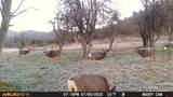 3115 Cr 973 - Photo 43