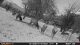3115 Cr 973 - Photo 45