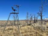 000 Akati Gulch Road - Photo 15