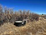 000 Akati Gulch Road - Photo 29