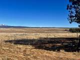 000 Akati Gulch Road - Photo 7