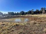 000 Akati Gulch Road - Photo 16