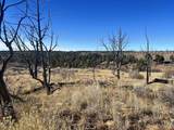 000 Akati Gulch Road - Photo 21