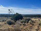 000 Akati Gulch Road - Photo 22
