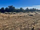 000 Akati Gulch Road - Photo 29