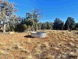 000 Akati Gulch Road - Photo 8