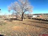 11290 Hwy 145 - Photo 4
