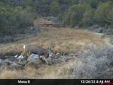 10795 52 1/2 Road - Photo 43