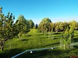 25901 Road T - Photo 2