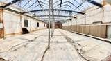115 Rio Vista Avenue - Photo 4