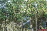 TBD Henson Creek Road - Photo 10