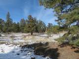 4999 North Pagosa Boulevard - Photo 11