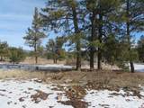 4999 North Pagosa Boulevard - Photo 6