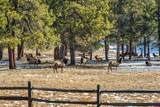 2415 Echo Canyon Ranch Lane - Photo 45