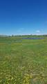 TBD Hanks Valley Road - Photo 1