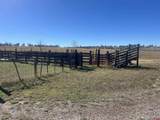 TBD Hanks Valley Road - Photo 14