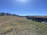 TBD Hanks Valley Road - Photo 15