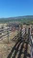 TBD Hanks Valley Road - Photo 4