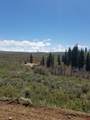 TBD Hanks Valley Road - Photo 5
